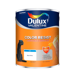 color-resist-mur-boiserie-mat-base-white-2-5l-5351584-akzo|Peinture intérieure