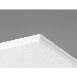 plafond-gedina-bord-e-t24-15mm-60x60-9-36m2-car|Dalles de plafonds