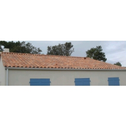 aretier-ventilation-clip-terreal-326xt-vieilli-castel|Fixation et accessoires tuiles