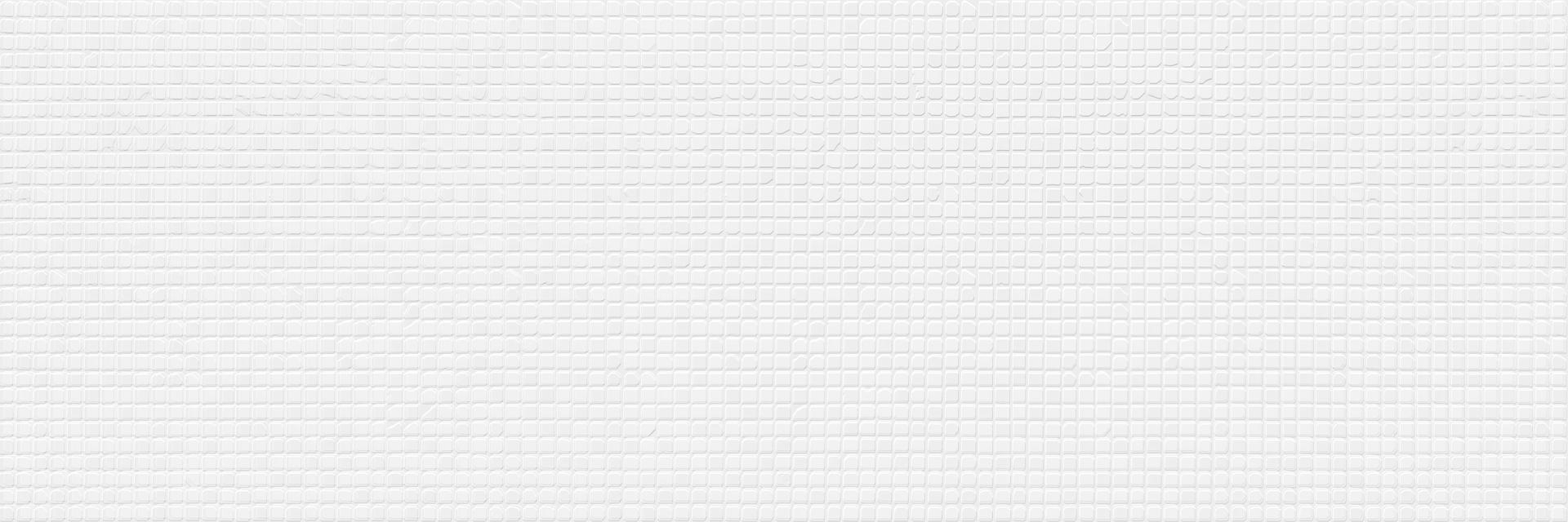 faience-argenta-xs-40x120-1-92m2-paq-mosaic-blanco-mate-0